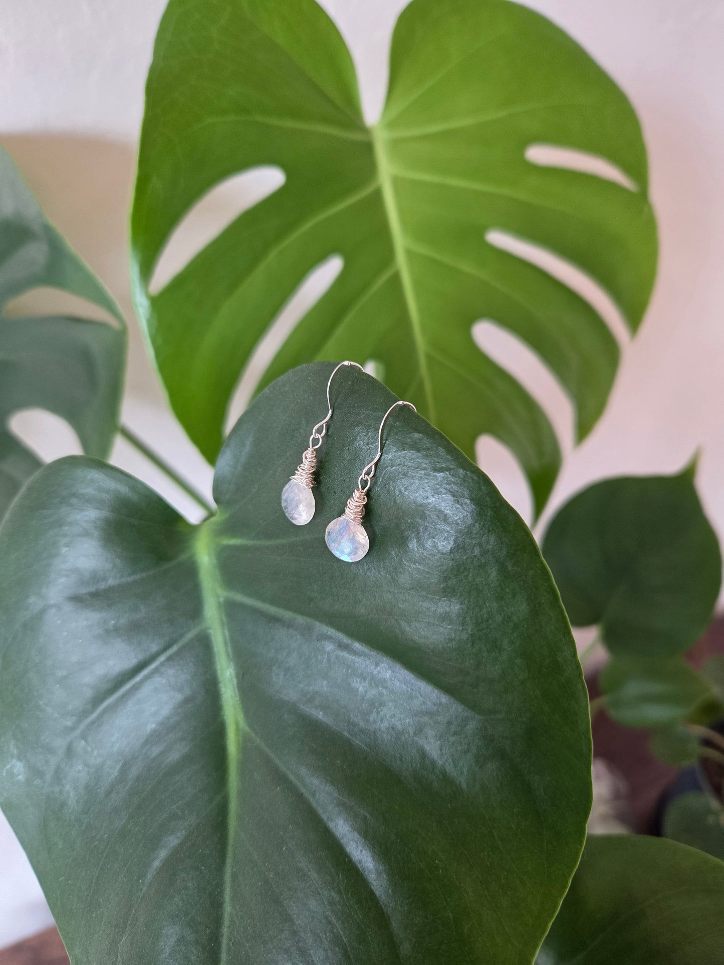 Rainbow moonstone sterling silver earrings
